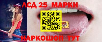 спиды Сланцы